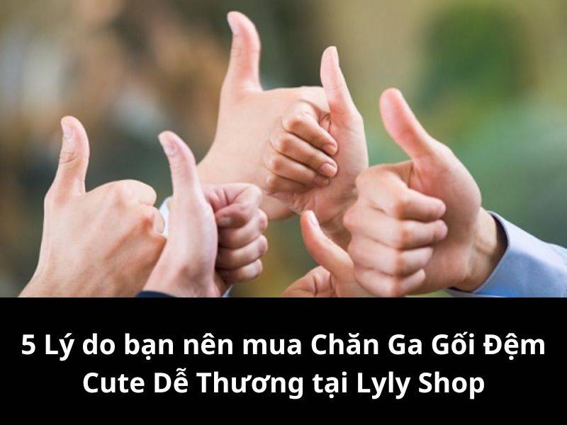 5 Lý do bạn nên mua Chăn Ga Gối Đệm Cute Dễ Thương tại Lyly Shop