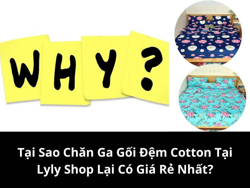 Tại Sao Chăn Ga Gối Đệm Cotton Tại Lyly Shop Lại Có Giá Rẻ Nhất?