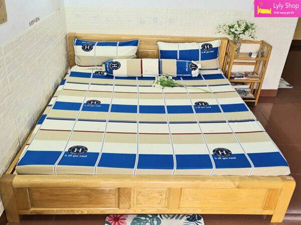 Bộ ga giường cotton Thắng Lợi đẹp, chất lượng cao tại Lyly Shop với giá rẻ | Mẫu 18
