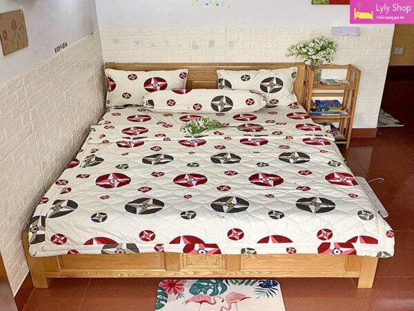 Bộ ga giường cotton Thắng Lợi đẹp, chất lượng cao tại Lyly Shop với giá rẻ | Mẫu 5