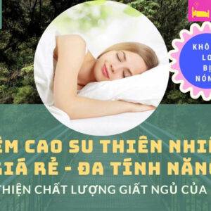 Nệm cao su thiên nhiên giá rẻ cải thiện chất lượng giất ngủ của bạn