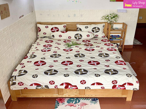 Drap giường 1m8x2m đẹp tại Lyly Shop mẫu 5