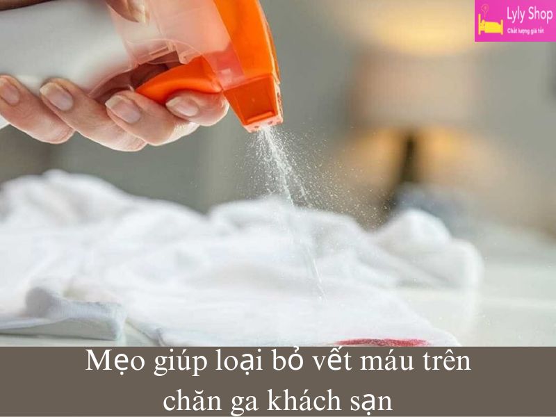 Ga Giường Khách Sạn Dính Máu Có Sao Không? Mách bạn 4 cách tẩy vết máu hiệu quả 8 ga giường khách sạn dính máu có sao không