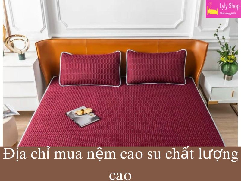 Gợi Ý 4 Cách Khử Mùi Nệm Cao Su Mới Mua Về Mà Không Phải Ai Cũng Biết 9 khử mùi nệm cao su mới mua về